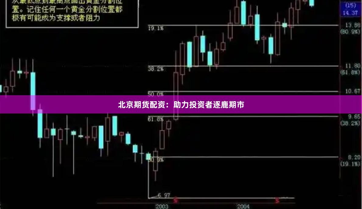 北京期货配资：助力投资者逐鹿期市