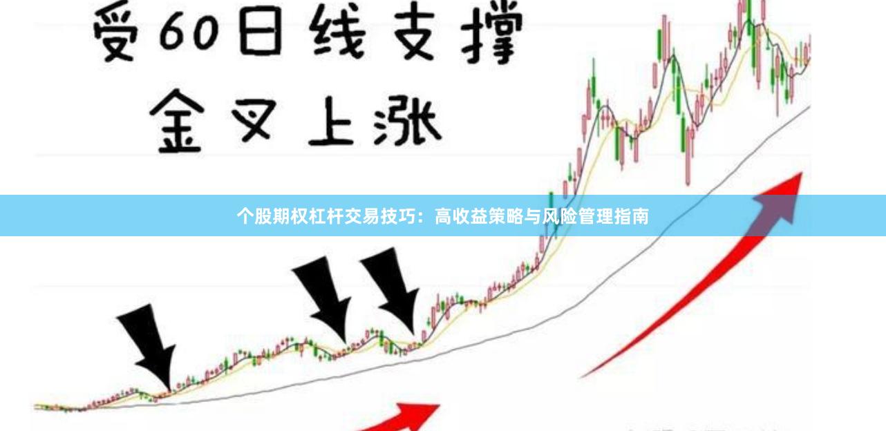 个股期权杠杆交易技巧：高收益策略与风险管理指南